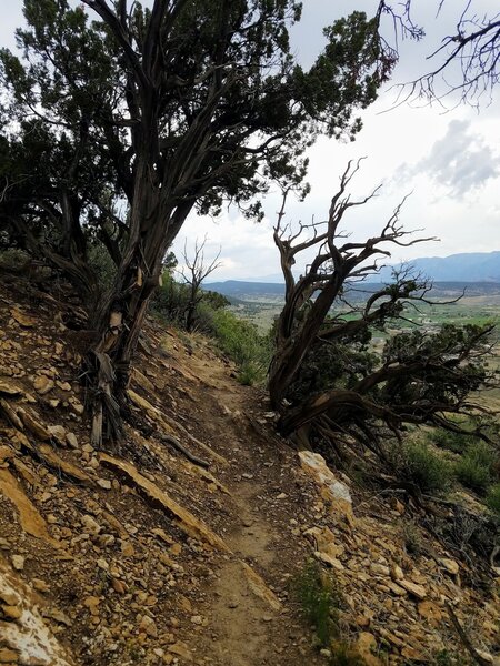 Beginning descent to sweeping switchbacks.