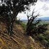 Beginning descent to sweeping switchbacks.