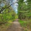 Marshlands Trail