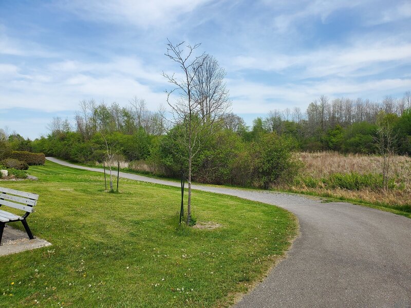 Arbour Ridge Trail