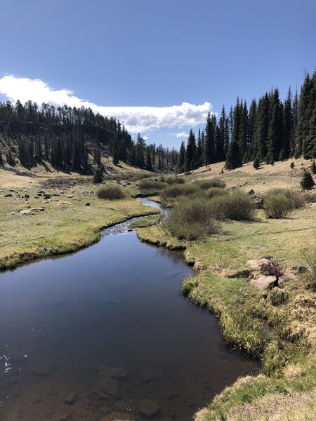 Beginning of trail