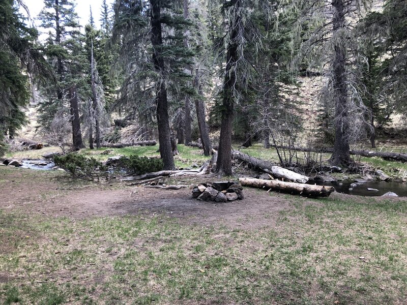 Nice resting area about one mile in from trailhead.