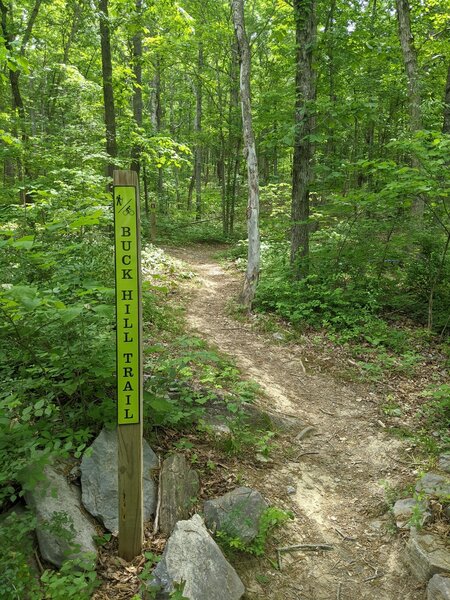 Buck Hill Trail sign