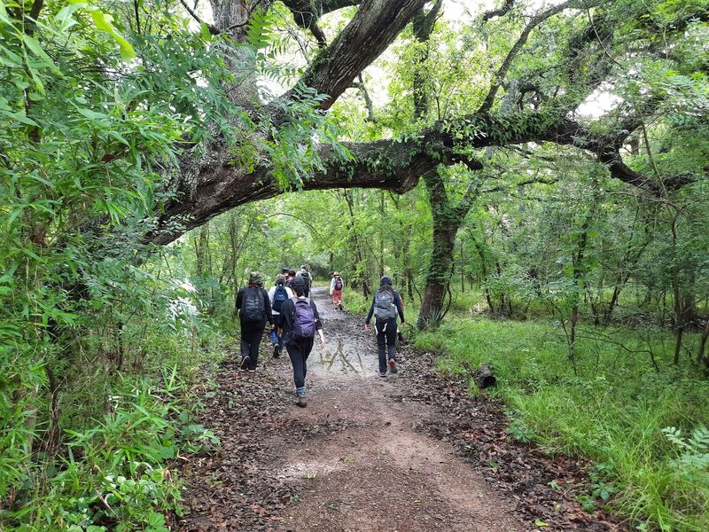 A lush park often means soggy trails.