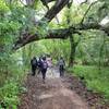 A lush park often means soggy trails.