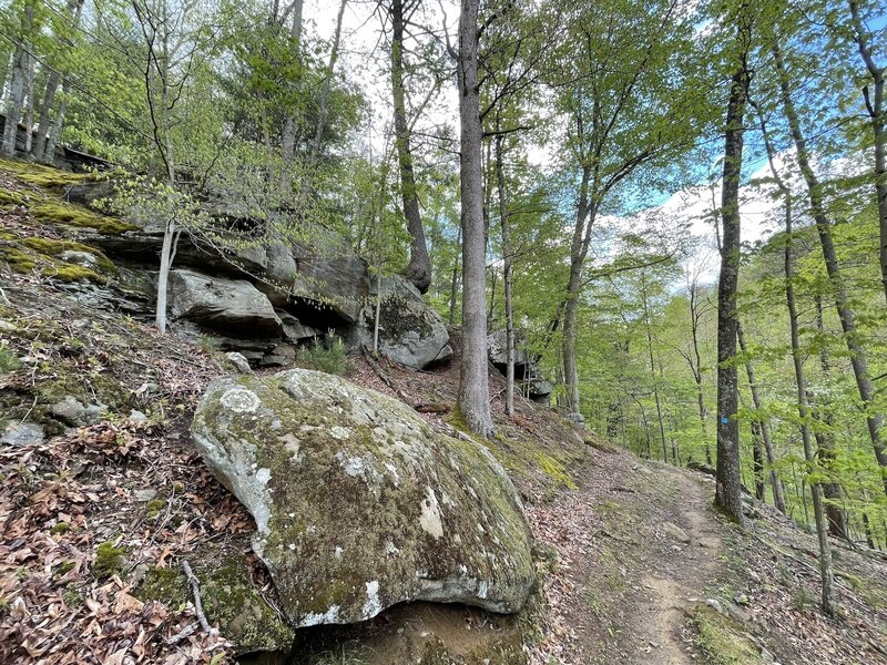 Barton's Lake Trail as it moves east.