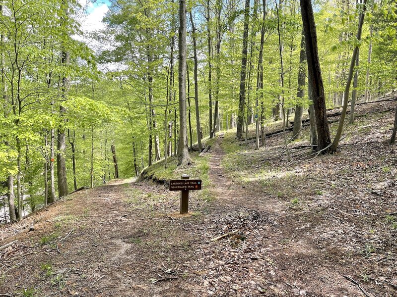 Barton's Lake Trail where it meets the Fisherman's Trail trailhead.