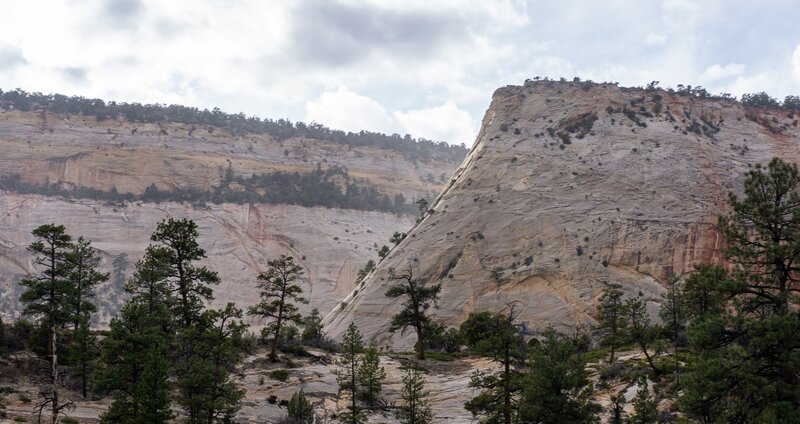 Mist in the cliffs near Checkerboard Mesa.