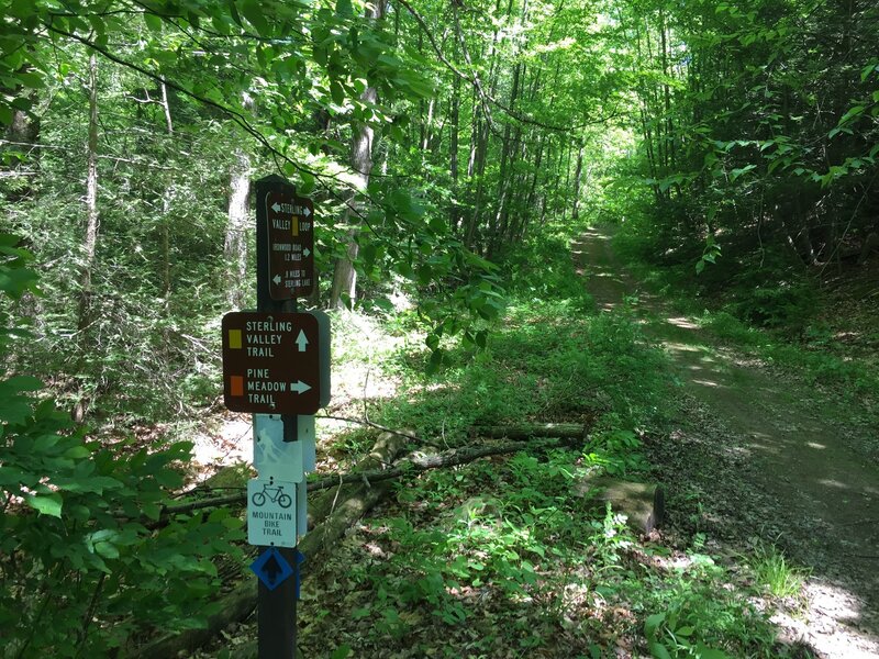 Yellow/Orange trail junction