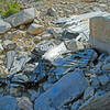 Part of wing and fuselage from an Air Force Douglas C-47 cargo plane that crashed in 1952. Note the plaque on the rock commemorating the airmen who were killed.