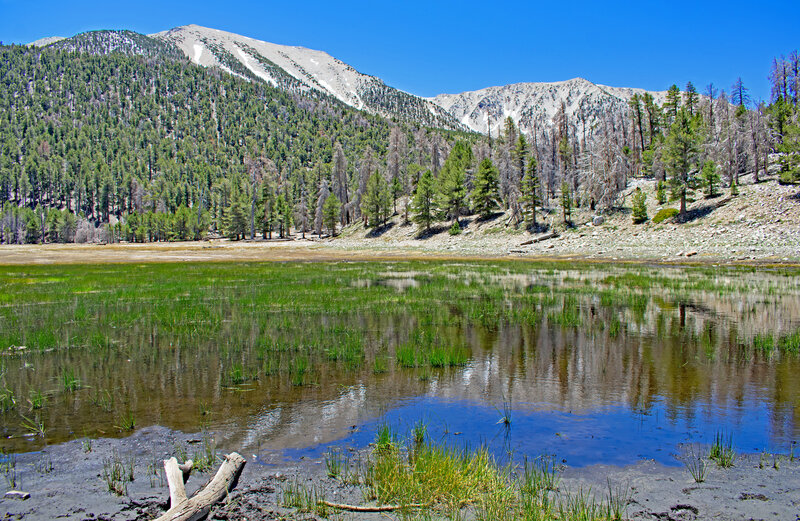 Looking across Dry Lake with San Gorgonio (Old Greyback) on the left and Chariton Pk on the right.