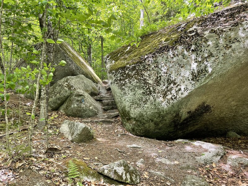 Trail by huge boulder