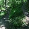 Switchback near the stream crossing.