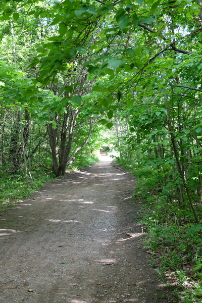 The Walter Tovell Trail in spring.