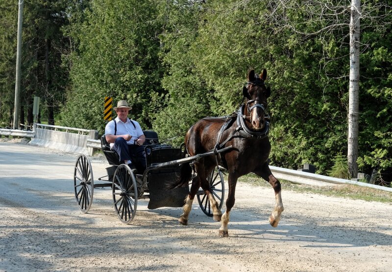 A sleigh on E Back Line