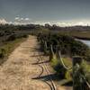 San Elijo Lagoon