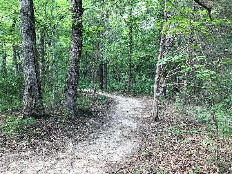 First wooded entrance to the trail.