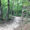 First wooded entrance to the trail.