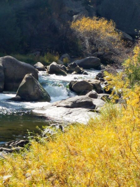 Looking Upstream - Majestic Boulders scattered in the South Fork of the South Platte River.