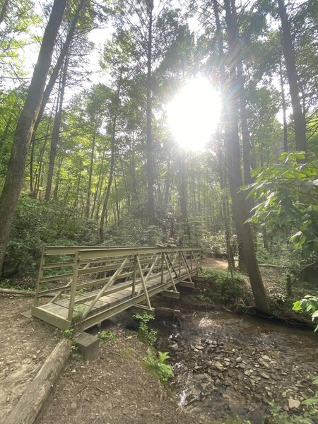 Bridge over Flat Creek.