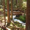 Sturdy bridge over Buck Creek (Note: Skookum Flats Trail is upstream from location currently mapped in Hiking Project)