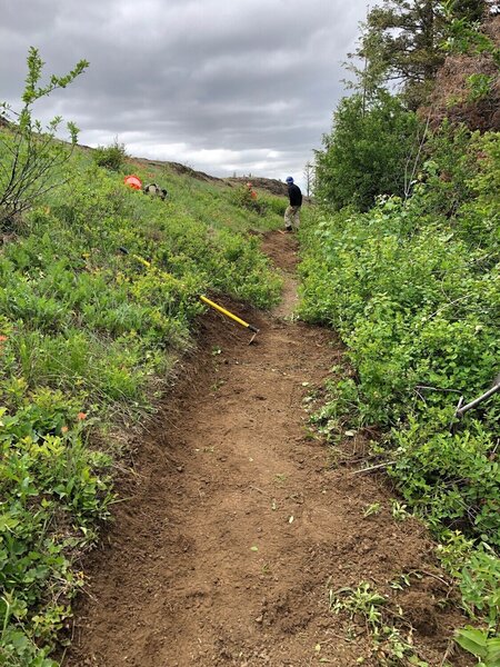 Blues Crew improving the trail tread.