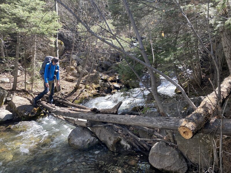 There are several creek crossings like this. Balance is a must in the late spring!