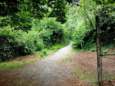 Stepping onto the trail from 15th Ave NE