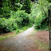 Stepping onto the trail from 15th Ave NE