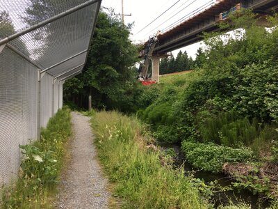 The trail, protected from golf balls, runs along Thornton Creek and elevated light rail construction.