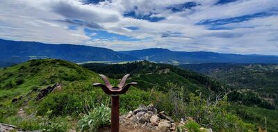 Bald Mountain Summit looking south.