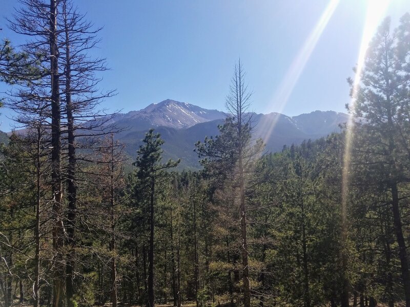 View of Pikes Peak from Heizer Trail.
