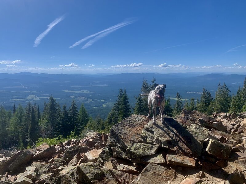 View from the rocks at north chilco.