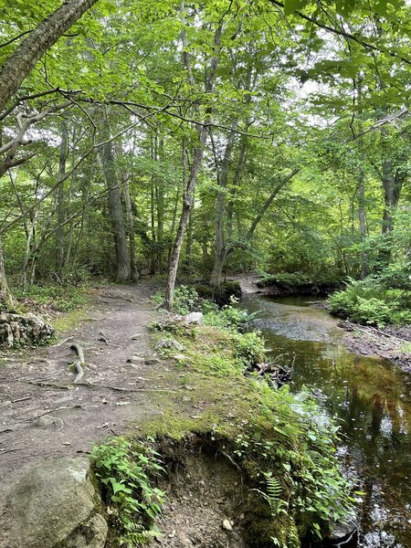 Red Trail at Fort Barton.