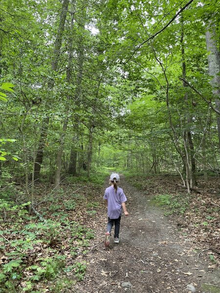 Red Trail at Fort Barton