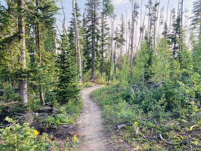 Top of the trail