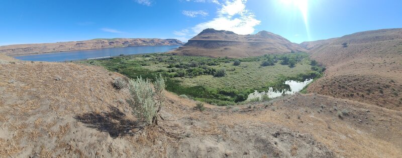 Juniper Canyon