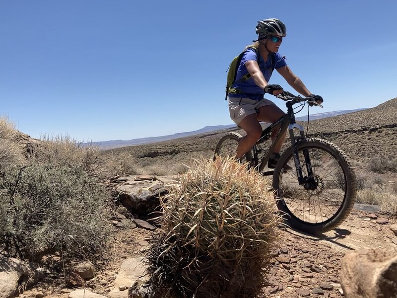 Riding past a Barrel Cactus near the end of the trail.