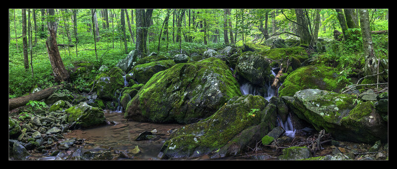 Some of the smaller falls along the stream that parallels the South River Falls Trail.