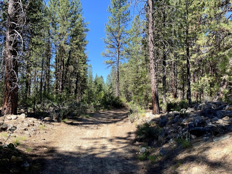 Typical scenery on the northern side of the trail, heading west, from the parking area.