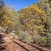 West Side Railroad Trail