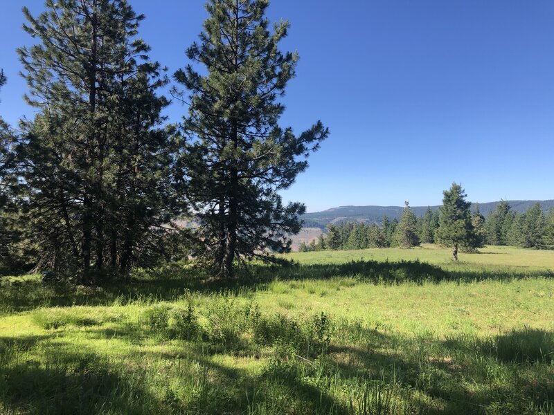 Wonderful grassy plateau is a perfect campsite.