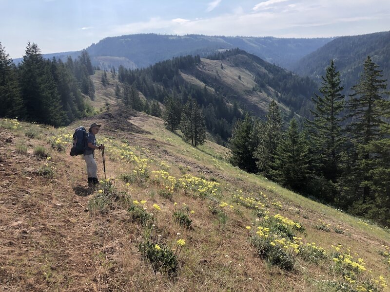 Exposed slope section of trail looking east toward Umatilla Rim. Buck Creek Canyon below.