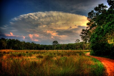 Guana River Thunderhead