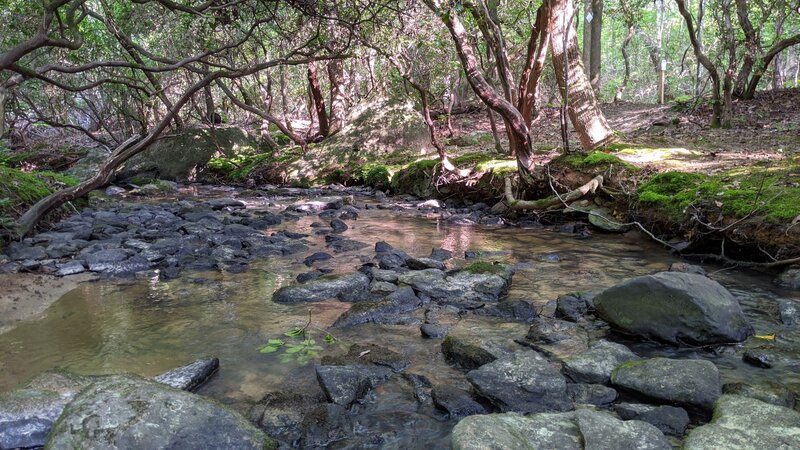 Crossing Walkers Creek