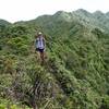 The upper knife-edge section of Aiea Ridge.