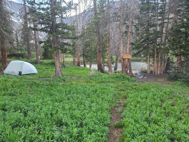 Campsite at Goodwin Lakes