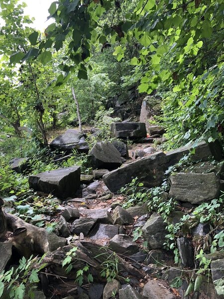 Typical trail section.  hard to run fast over the rocks - especially when wet!