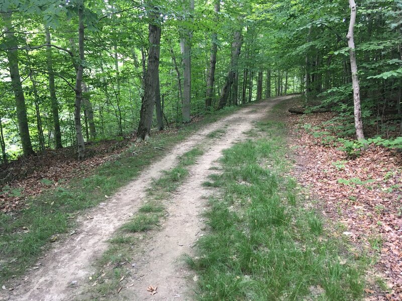 Typical trail section for this hike. Flat, packed, wide dirt lanes. More of a "walk in the woods" than a hike.