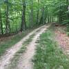 Typical trail section for this hike. Flat, packed, wide dirt lanes. More of a "walk in the woods" than a hike.